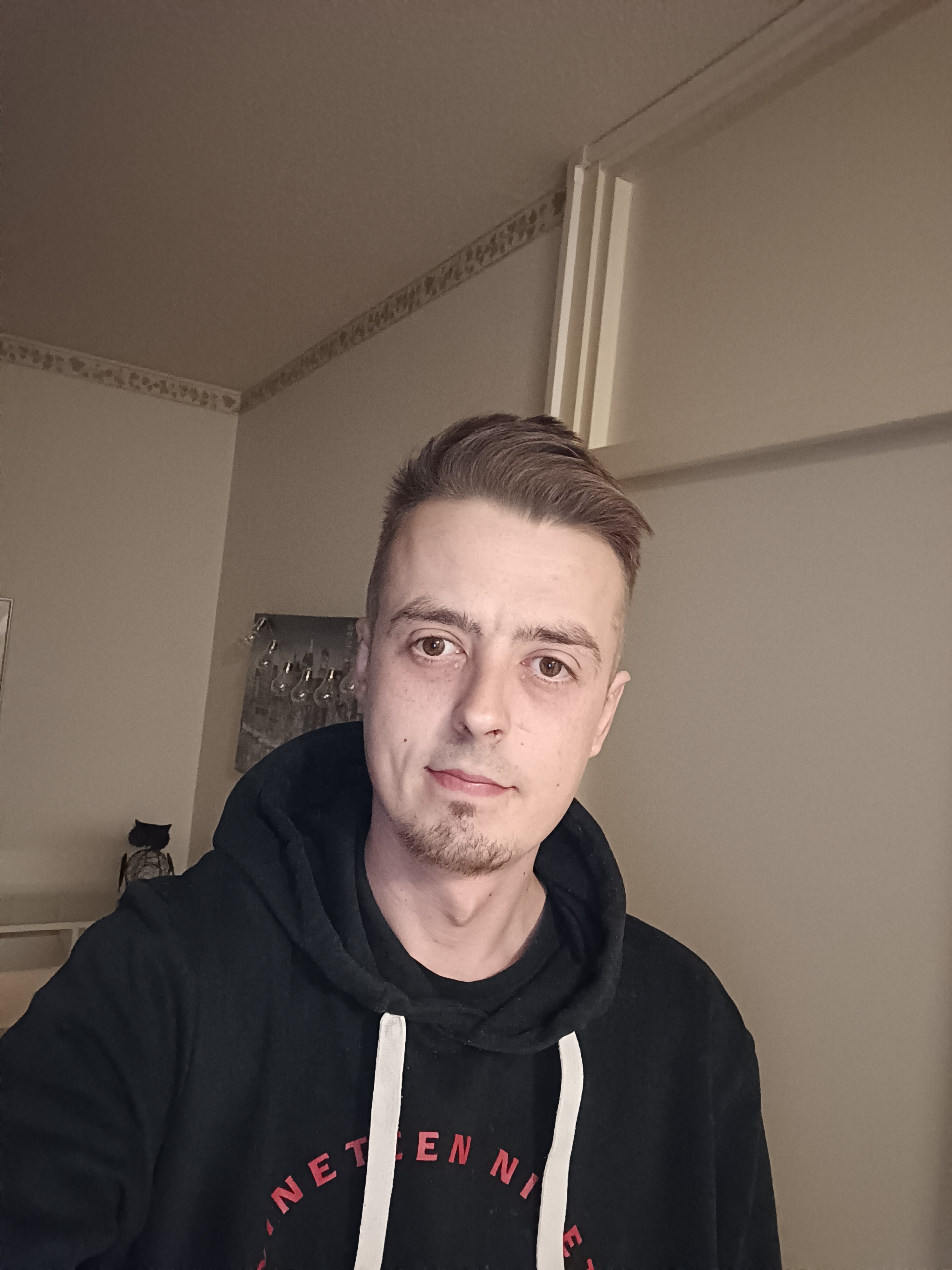 Large Image