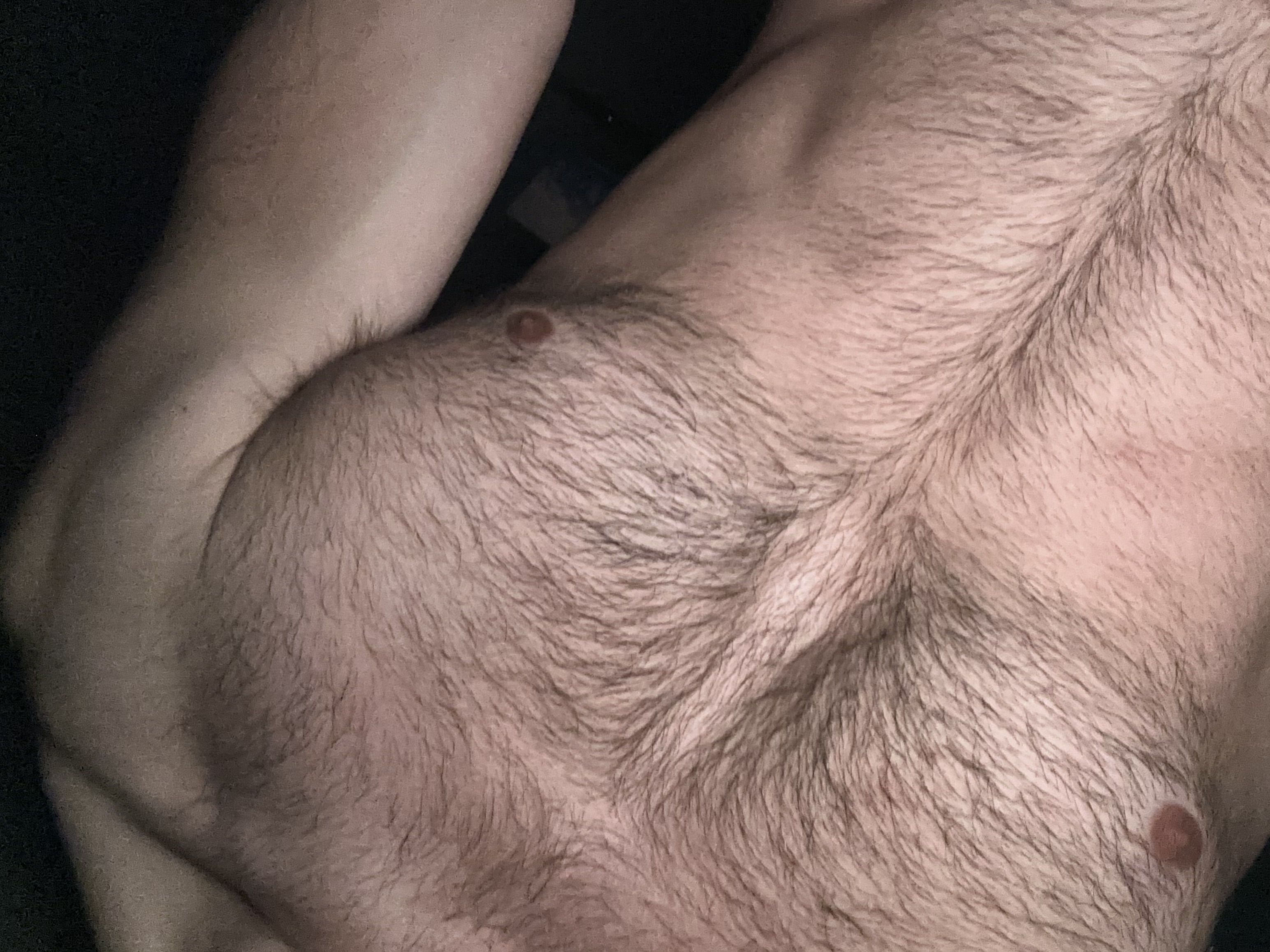 Large Image