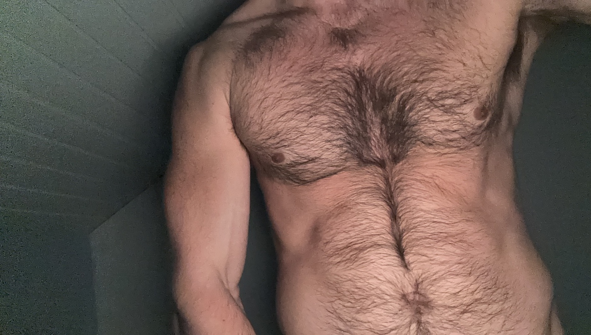 Large Image