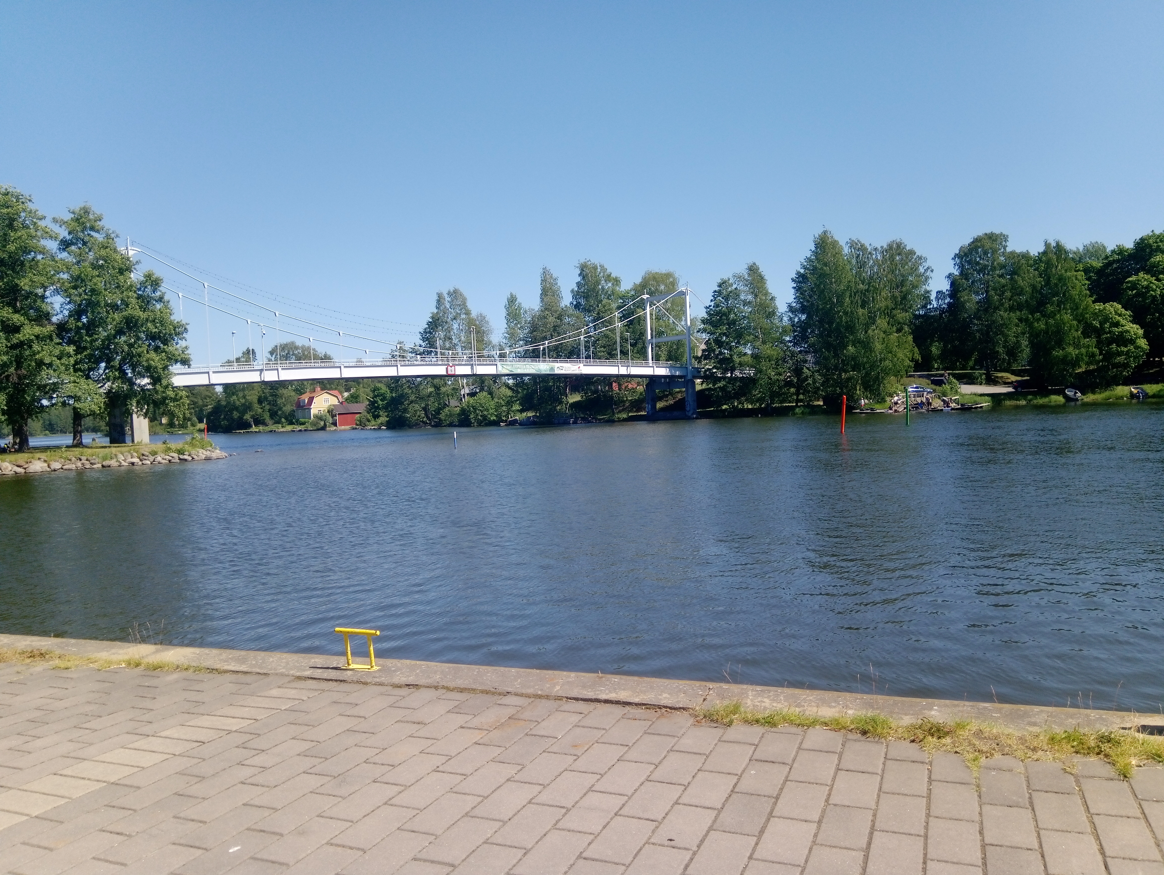 Large Image